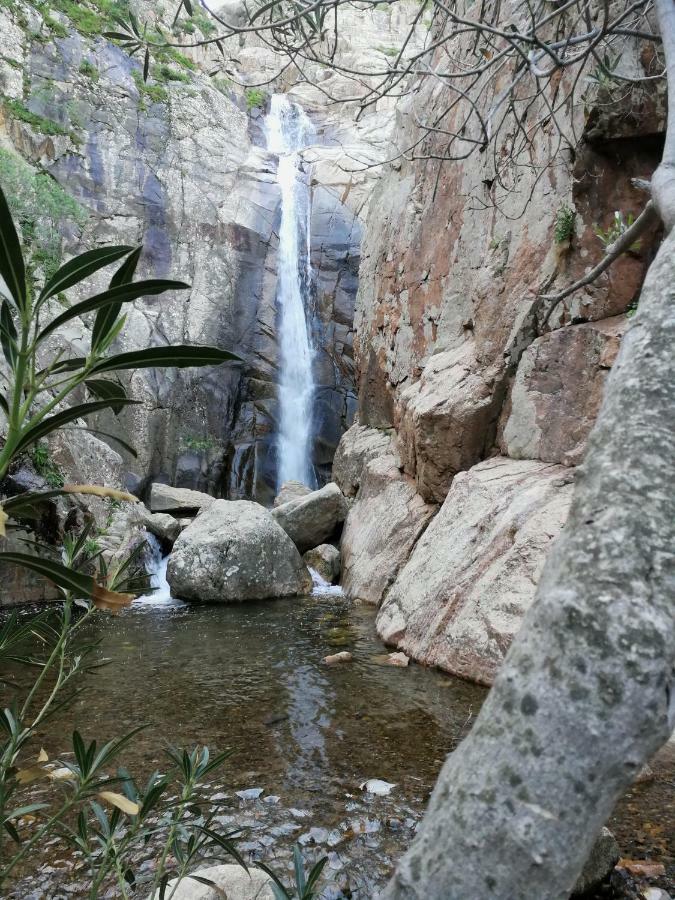 Il Giardino All'Angolo Villacidro Екстериор снимка